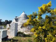 Trullo magico