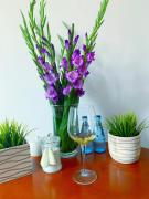 AS Apartment AS Apartment