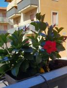 Top San Daniele del Friuli