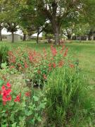 Top Saint-Quentin-la-Poterie