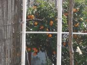 Ivan and Marica Guest House