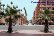 Top Marrakesz