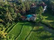 Top Ubud