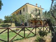 Top Montefalco