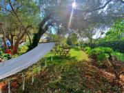 Apartment Oaza Mira Apartment Oaza Mira