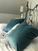 Brampton Luxury Annexe Apartment