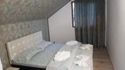 Casa Sviniceană Casa Sviniceană