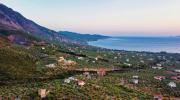 Top Kalamata