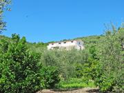 Apartment Villa Tavaglione-1 by Interhome