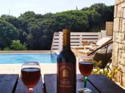 Top Plános Top Plános