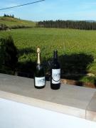 Quinta de São Lourenço