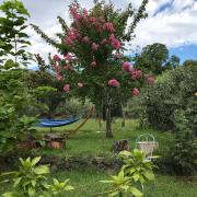 Top Piedimonte Etneo