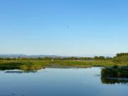 Grado Rouse city - Avanti Savoia Grado Rouse city - Avanti Savoia