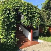 Top Rożdżały Top Rożdżały