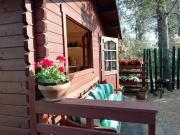 Appia Antica Cottage