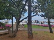 MIAU Premium apartments MIAU Premium apartments