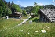 Top Radfeld
