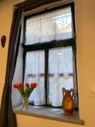 Top Mandello del Lario