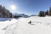 Top Radfeld
