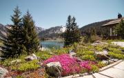 Top Arosa