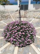 Family Apartments 4 Family Apartments 4