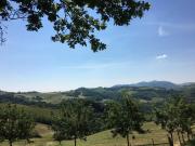 Top Ozzano dell Emilia