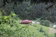 Top Uzungol