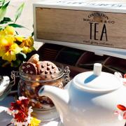 Top Castel San Pietro Terme