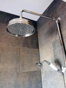 Top Bedlington Top Bedlington