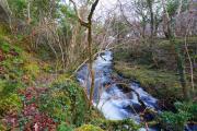 Top Clifden