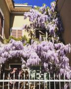 Top Civitanova Marche