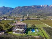 Top Appiano sulla Strada del Vino