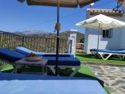 Top Torrox