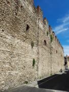 Top Prato