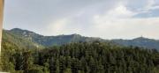 Top Shimla