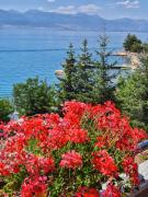 Top Ohrid