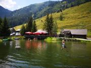 Top Haus im Ennstal