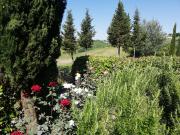 Top San Gimignano