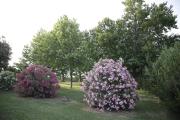 Top Potenza Picena