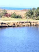 Apartamentai su vaizdu į jūrą