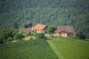 Top Kitzeck im Sausal