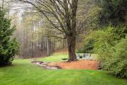 Top Cedar