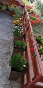 Top Golubac