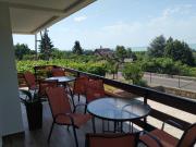 Top Badacsonytördemic