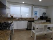 Beachfront PH Amara Ixtapa