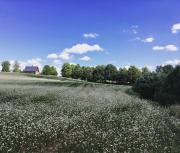 Top Unichowo Top Unichowo