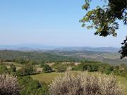 Top Scansano