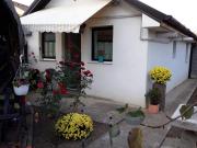 Top Timişoara Top Timişoara