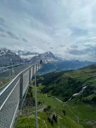 Top Grindelwald