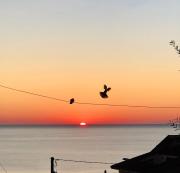 Top Roseto Capo Spulico